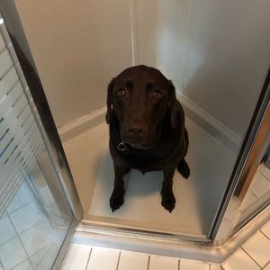 Meet your Posher, Sean